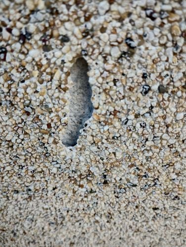 IMG_20220802_141012701_HDR.jpg IMG_20220802_141012701_HDR.jpg