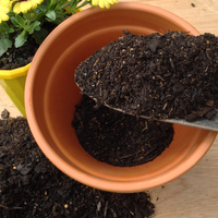 Potting mix.png Potting mix.png