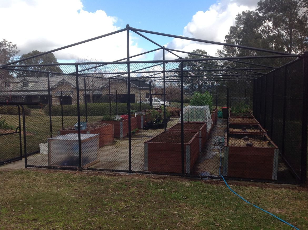 IMG_6603.JPG IMG_6603.JPG