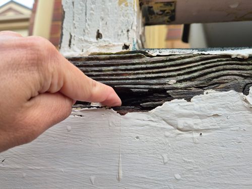 1000061962.jpg 1000061962.jpg