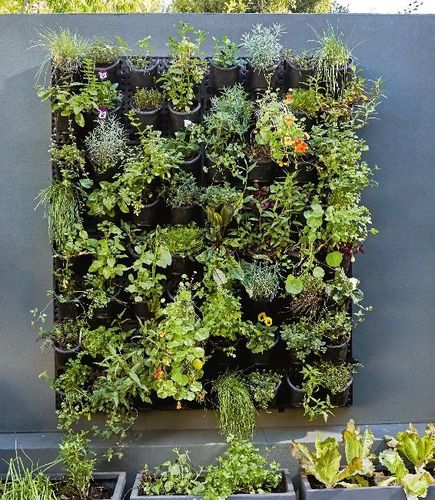 ProjectPete_3-1582590755875.jpeg ProjectPete_3-1582590755875.jpeg