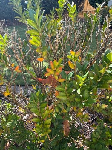 IMG_1557.jpeg IMG_1557.jpeg