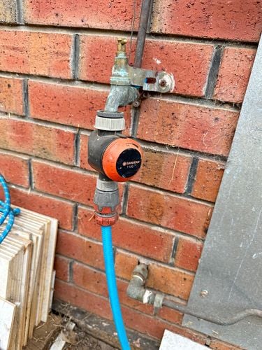 IMG_4428.jpeg IMG_4428.jpeg