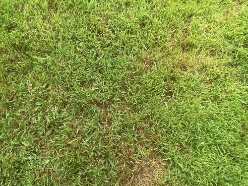 IMG_1019.jpeg IMG_1019.jpeg