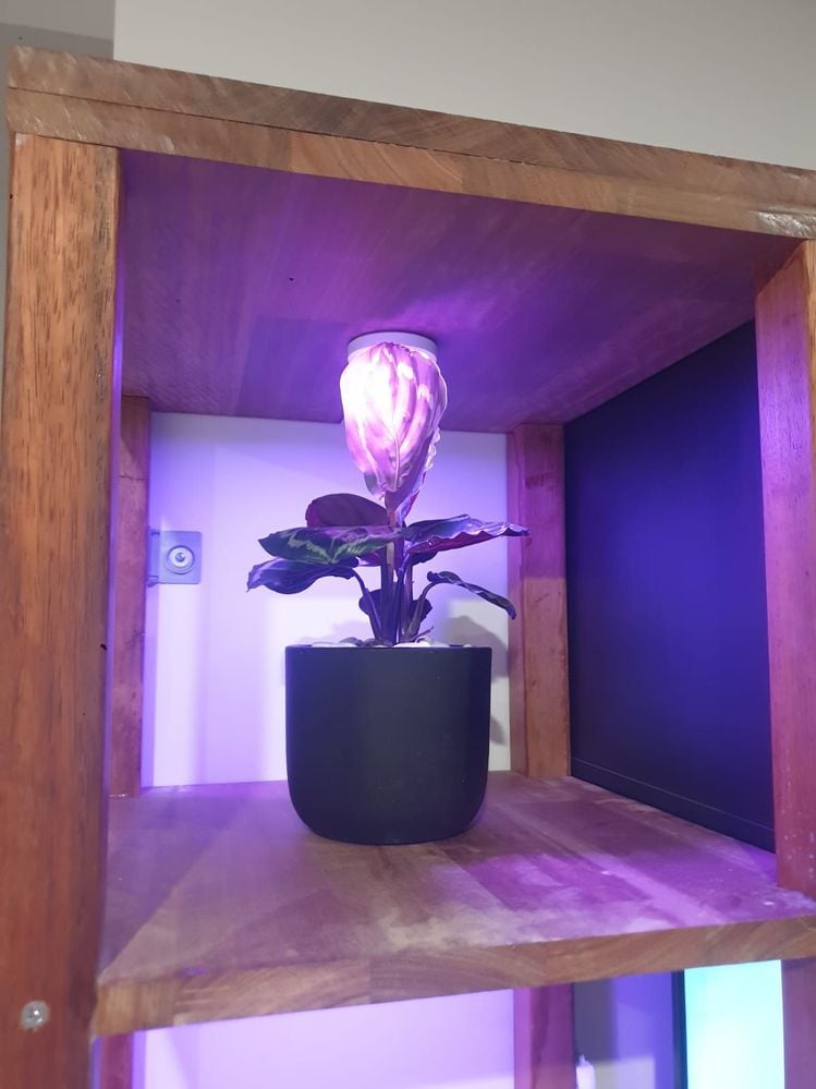 WhatsApp Image 2023-02-20 at 8.24.10 PM.jpeg WhatsApp Image 2023-02-20 at 8.24.10 PM.jpeg