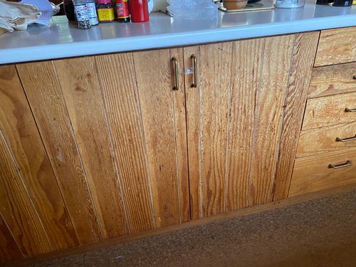 IMG_1055.jpeg IMG_1055.jpeg