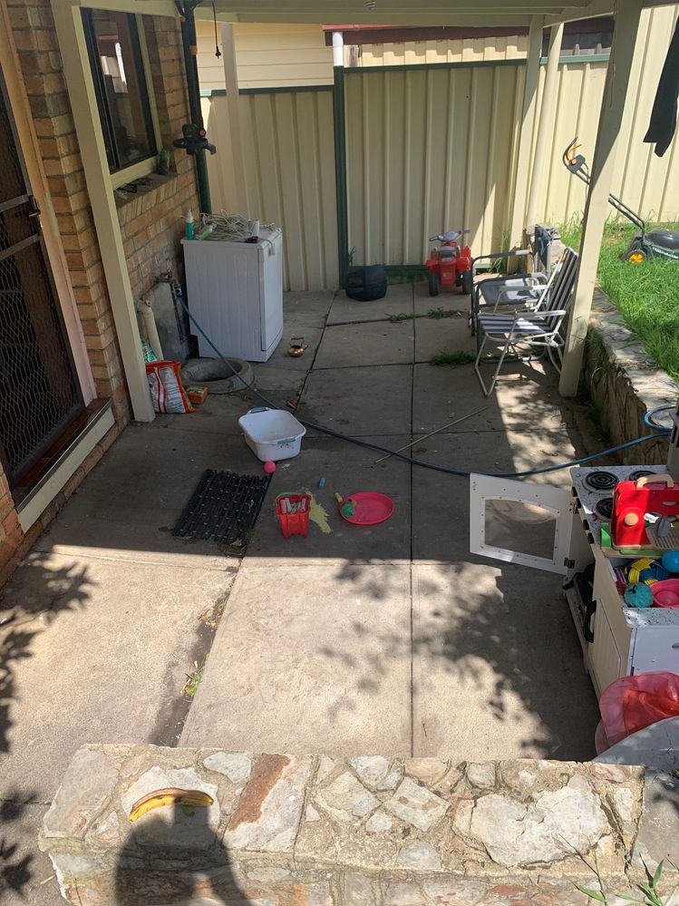 IMG_3769.JPG IMG_3769.JPG