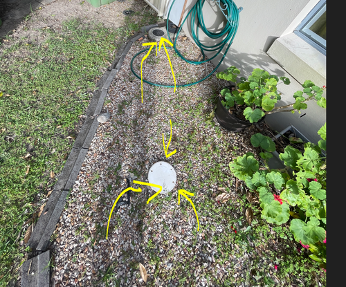 Sugar_6-1738188254894.png Sugar_6-1738188254894.png