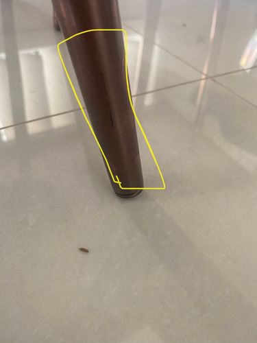 A4E0F0DC-56B6-44B0-AE08-A64C194B7792.jpeg A4E0F0DC-56B6-44B0-AE08-A64C194B7792.jpeg