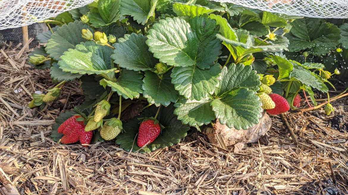 IMG_20191115_071025.jpg IMG_20191115_071025.jpg