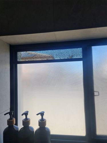 1727653341472597539215442443719.jpg 1727653341472597539215442443719.jpg