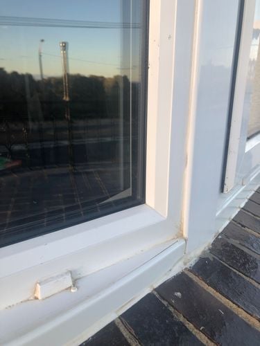 9655E3B9-A16C-4895-8373-AD6BB0CBA401.jpeg 9655E3B9-A16C-4895-8373-AD6BB0CBA401.jpeg