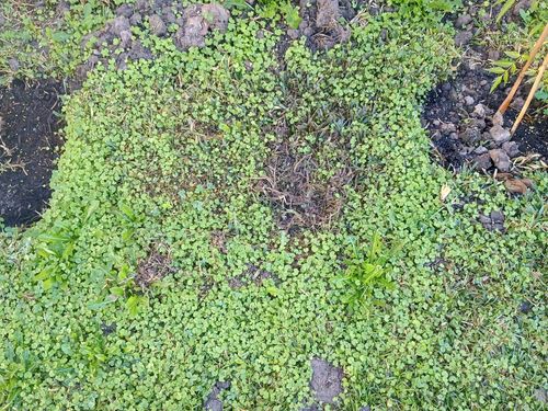 IMG_20250522_080346221_HDR.jpg IMG_20250522_080346221_HDR.jpg