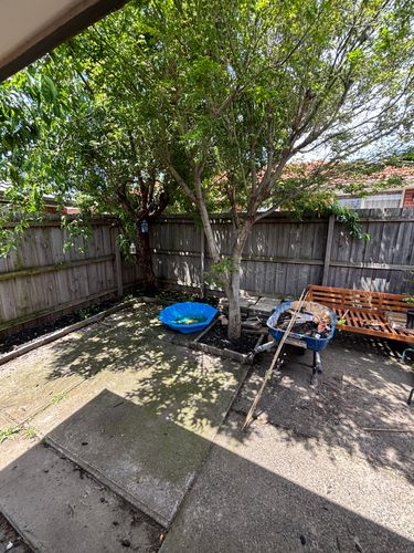 IMG_9677.jpeg IMG_9677.jpeg