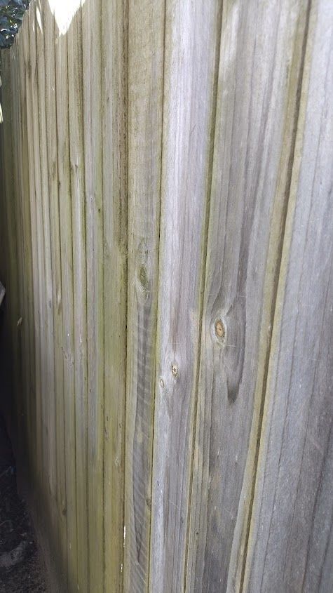 IMG_20250727_120742_HDR.jpg IMG_20250727_120742_HDR.jpg