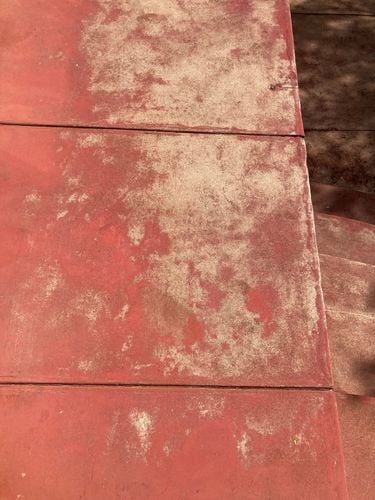 IMG_1019.jpeg IMG_1019.jpeg