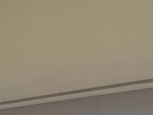 IMG_5196.jpeg IMG_5196.jpeg