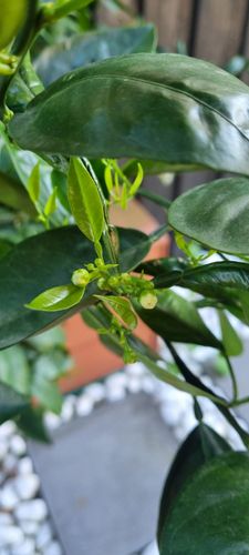 1000142012.jpg 1000142012.jpg