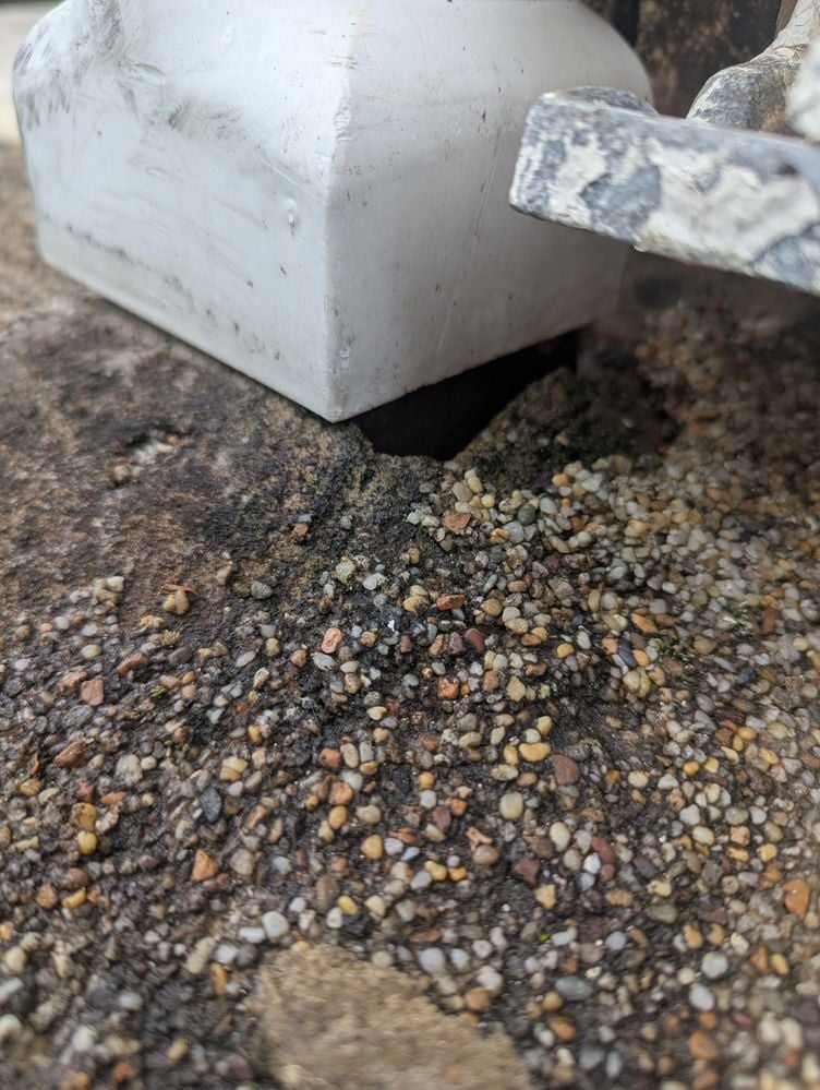 PXL_20251116_062620923.MP.jpg PXL_20251116_062620923.MP.jpg