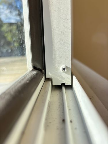 IMG_0835.jpeg IMG_0835.jpeg