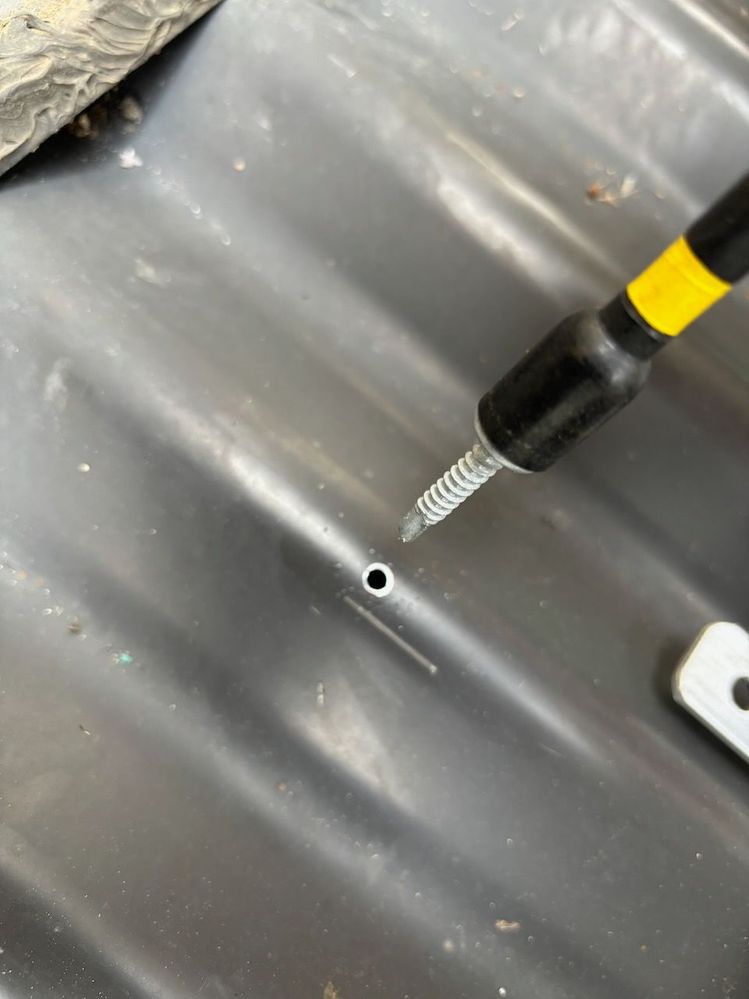 IMG_8255.jpeg IMG_8255.jpeg