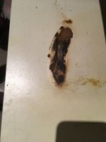 79797B72-4861-4CA9-97C9-7570D53EC25D.jpeg 79797B72-4861-4CA9-97C9-7570D53EC25D.jpeg