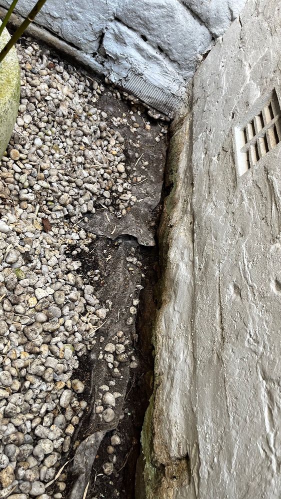 IMG_8591.jpeg IMG_8591.jpeg