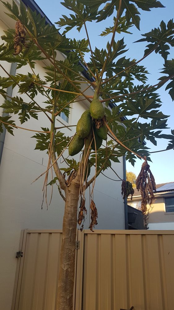 20220604_161255.jpg 20220604_161255.jpg