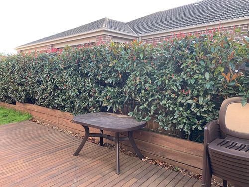 alfresco03.jpeg alfresco03.jpeg