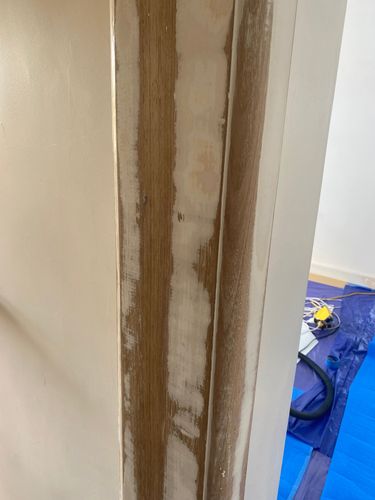 IMG_7043.jpeg IMG_7043.jpeg