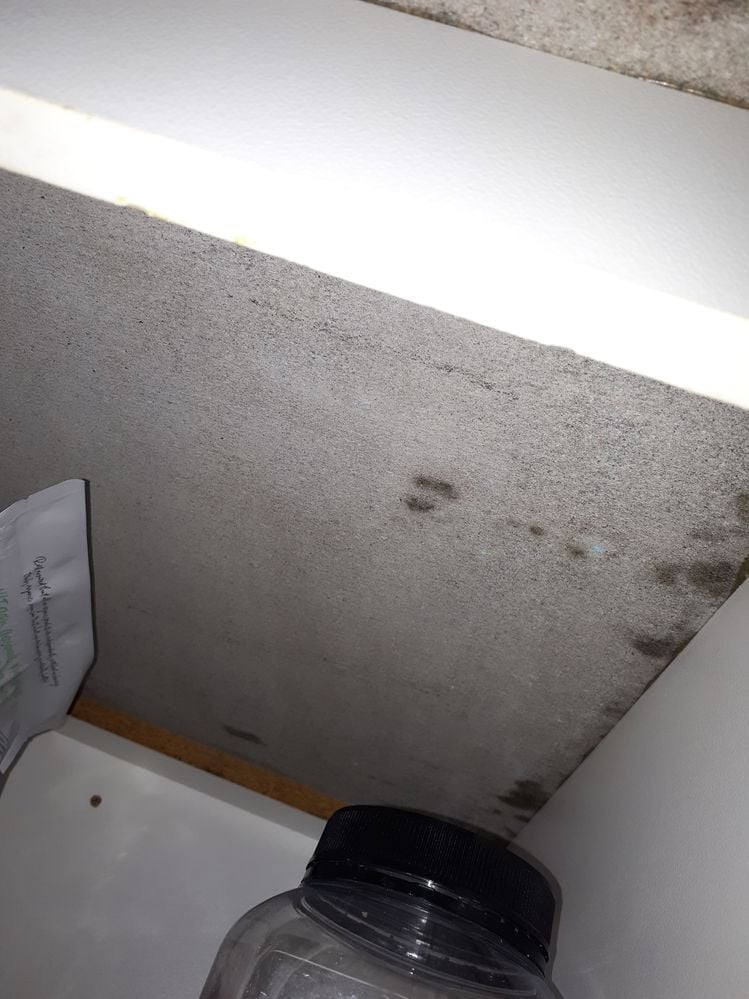 20240527_181259.jpg 20240527_181259.jpg