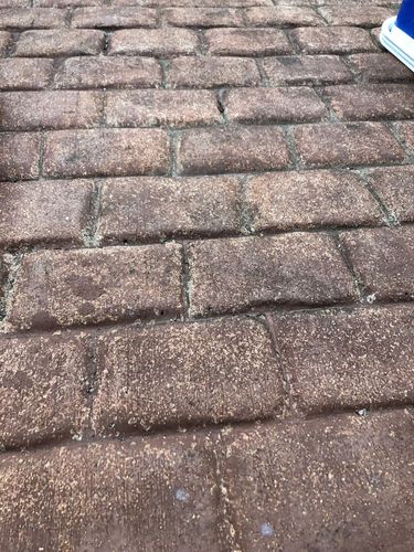 10E5A1A4-BBF6-4D91-B870-AAF2C3935EE7.jpeg 10E5A1A4-BBF6-4D91-B870-AAF2C3935EE7.jpeg