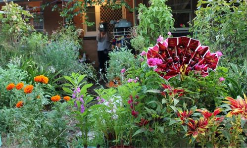 2DF6F431-D5A4-4E5F-9C77-1FA5EA322DA1.jpeg 2DF6F431-D5A4-4E5F-9C77-1FA5EA322DA1.jpeg