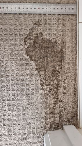 1000024633.jpg 1000024633.jpg