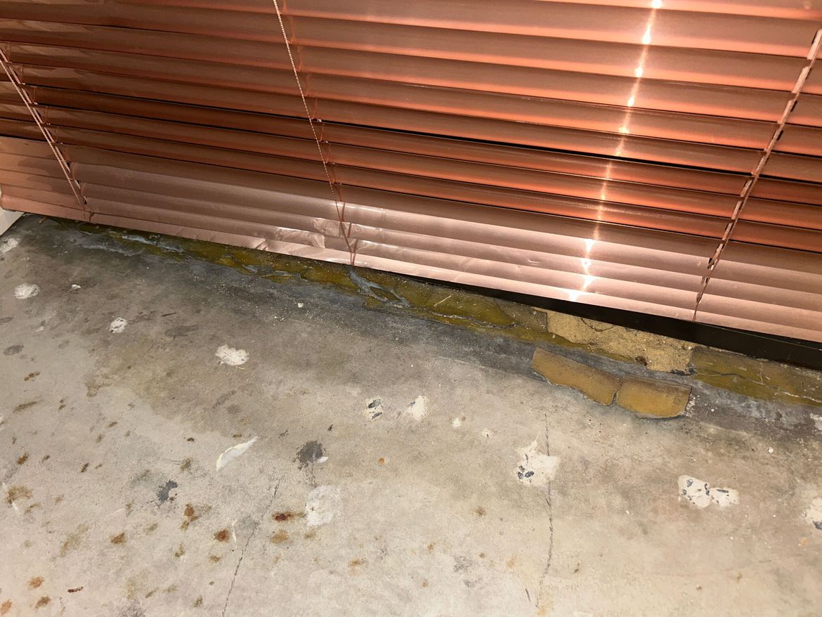 IMG_5296.JPG IMG_5296.JPG