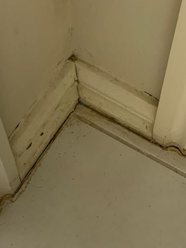 IMG_9479.jpeg IMG_9479.jpeg