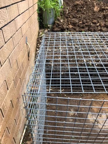 37 17-06-2024.jpg 37 17-06-2024.jpg