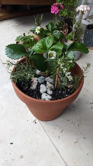 PXL_20240731_052149768.jpg PXL_20240731_052149768.jpg