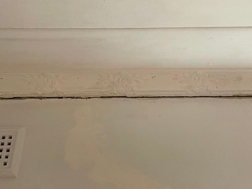 IMG_6370.jpeg IMG_6370.jpeg