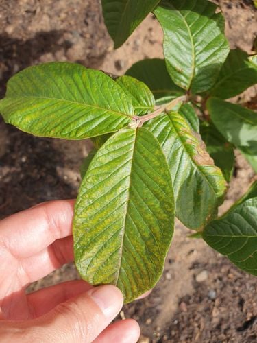 20230425_123151.jpg 20230425_123151.jpg