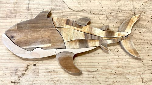 IMG_1162.jpeg IMG_1162.jpeg