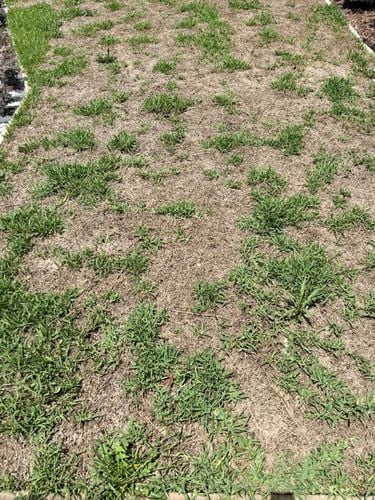 IMG_3841.jpeg IMG_3841.jpeg