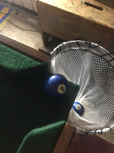 113 29-02-2024.jpg 113 29-02-2024.jpg