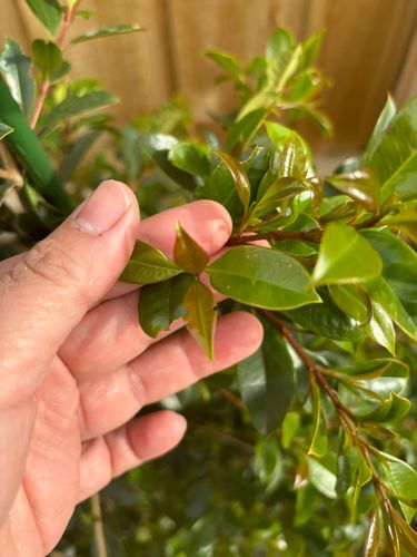 IMG_6048.jpeg IMG_6048.jpeg