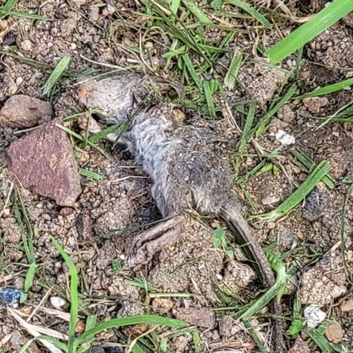 20220314_164812.jpg 20220314_164812.jpg