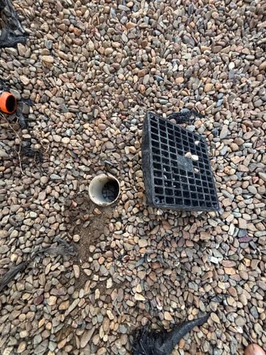 IMG_2784.jpeg IMG_2784.jpeg