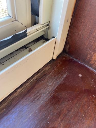 IMG_7467.jpeg IMG_7467.jpeg