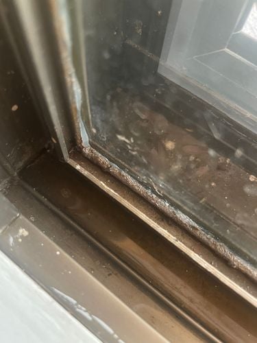 IMG_5997.jpeg IMG_5997.jpeg