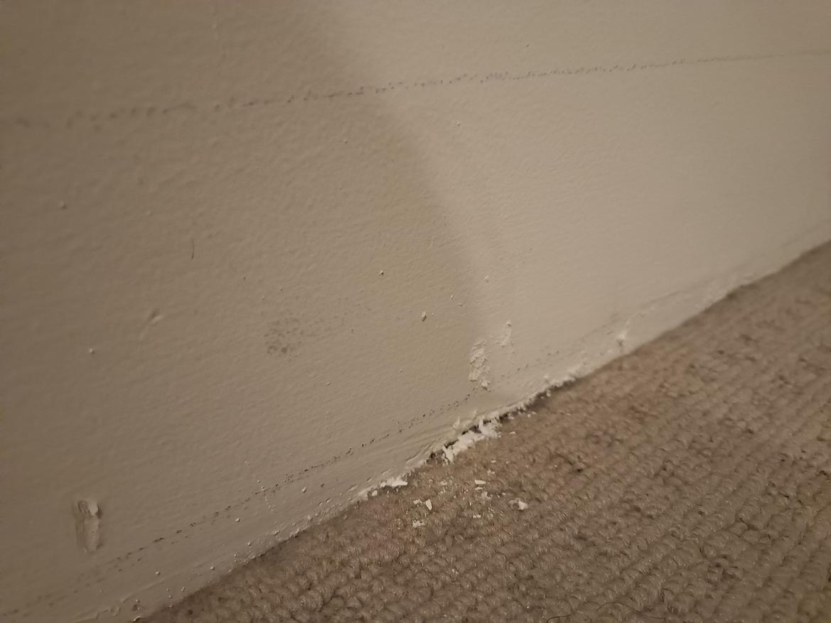 IMG20240722221137.jpg IMG20240722221137.jpg