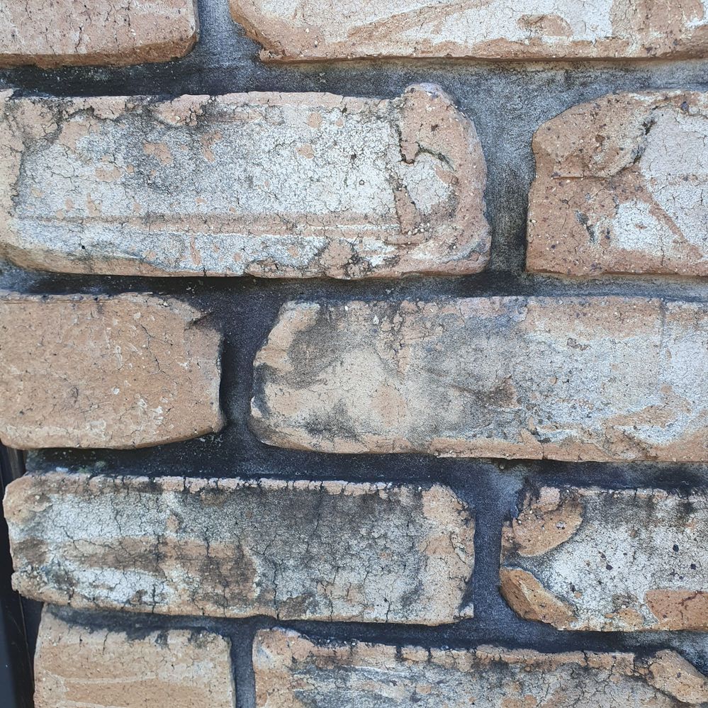 20240526_101548.jpg 20240526_101548.jpg